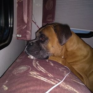 Meet your Posher, Sadee